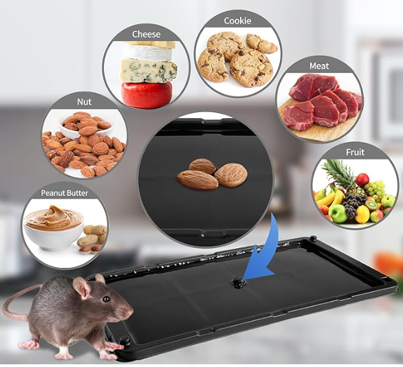 Best Glue Traps for Rats